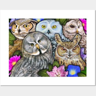 Owls Posters and Art